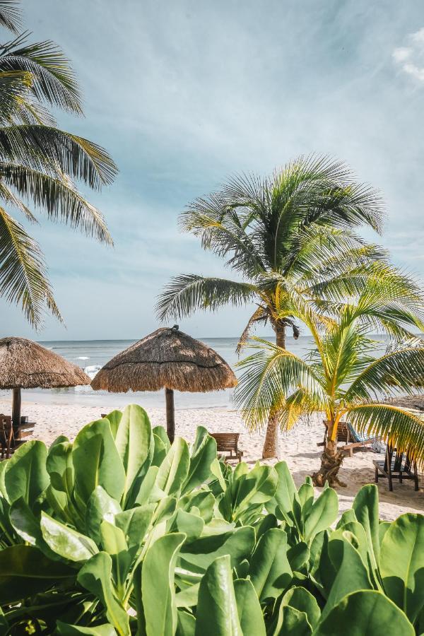 Paamul Hotel Palmul المظهر الخارجي الصورة