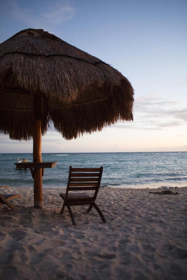 Paamul Hotel Palmul المظهر الخارجي الصورة